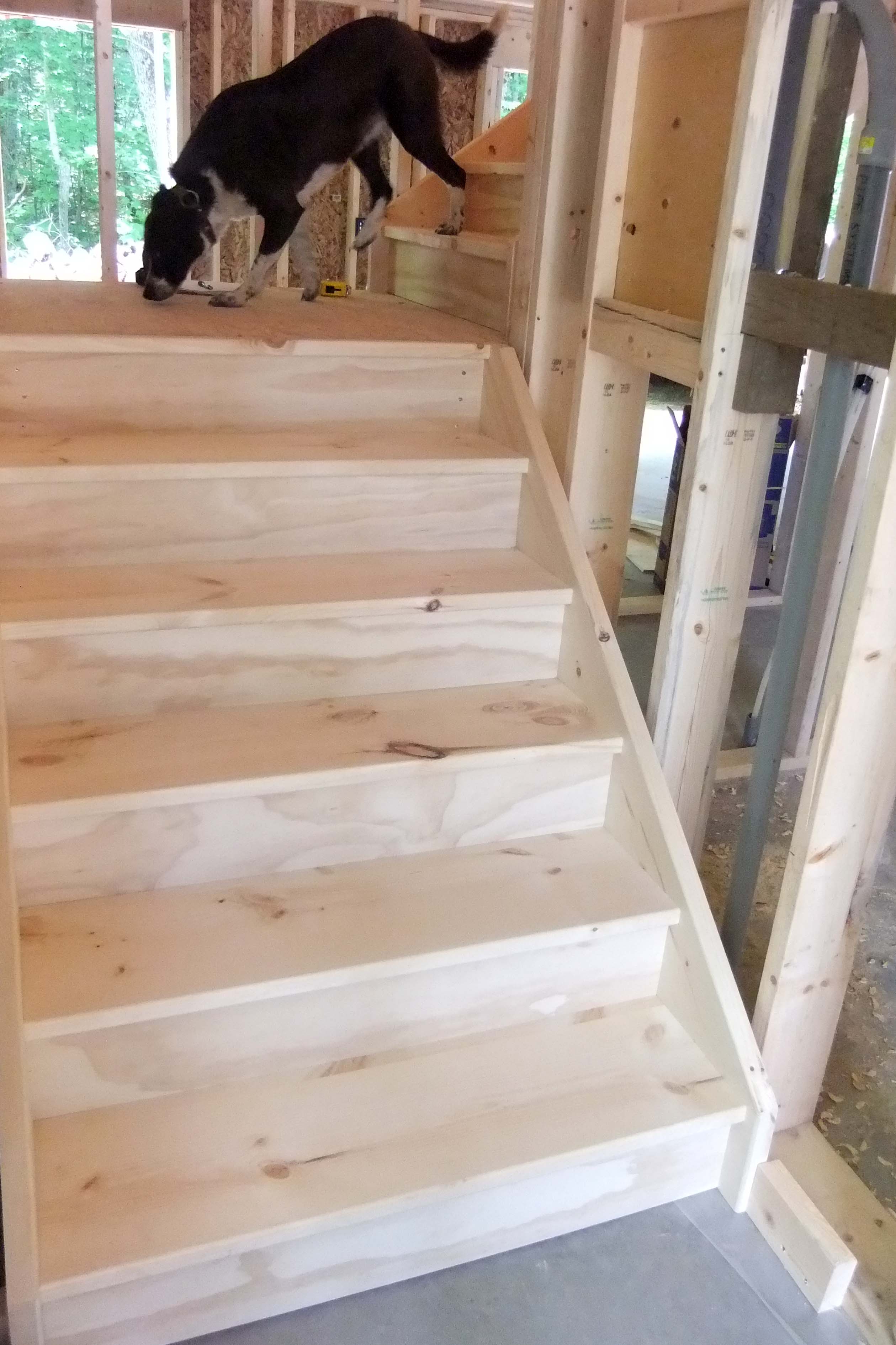 Carpet Grade Custom Wood Stairs, G1S Plywood Risers